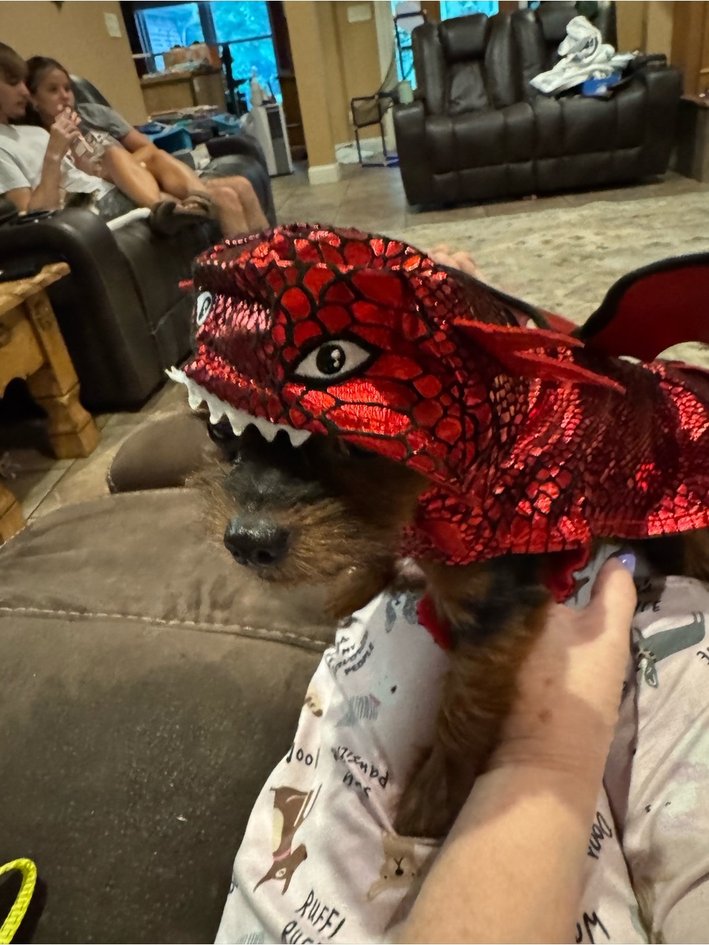 Red Dragon Dog Costume - Festive Pet Outfit, Halloween
